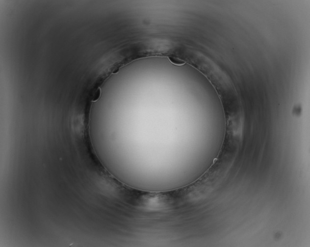 X0000103400564200809121245