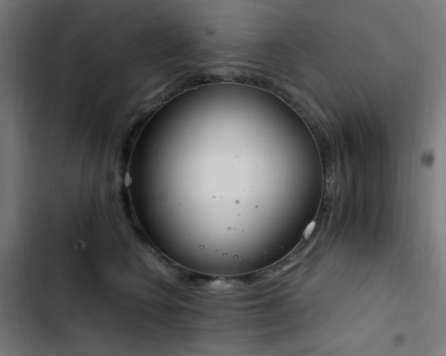 X0000103400566200809121245