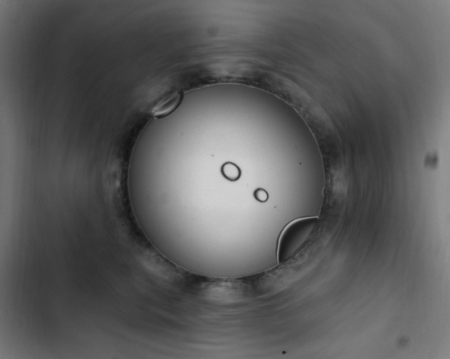 X0000103400567200809121245