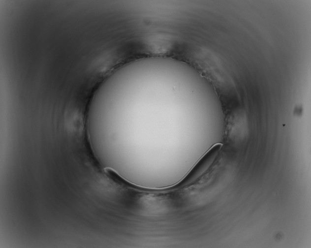 X0000103400568200809121245