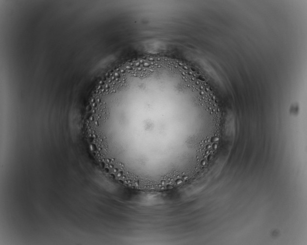 X0000103400569200809121245