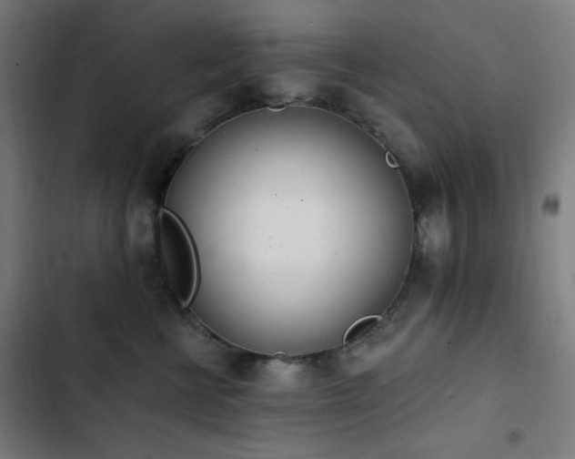 X0000103400570200809121245