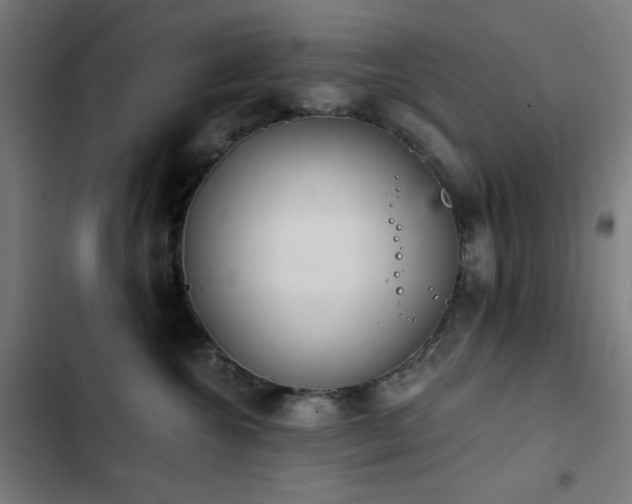 X0000103400572200809121245