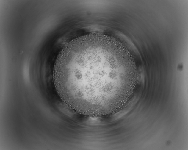 X0000103400573200809121245