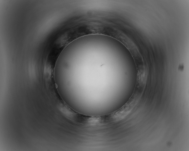 X0000103400574200809121245