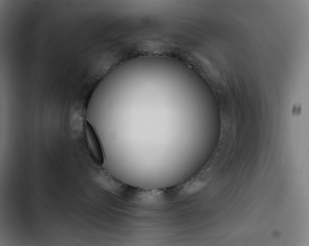 X0000103400576200809121245