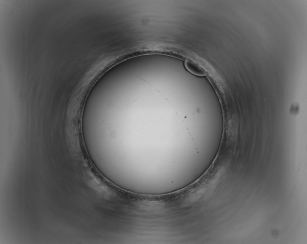 X0000103400577200809121244