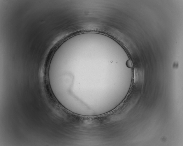 X0000103400579200809121244