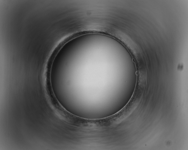 X0000103400580200809121244