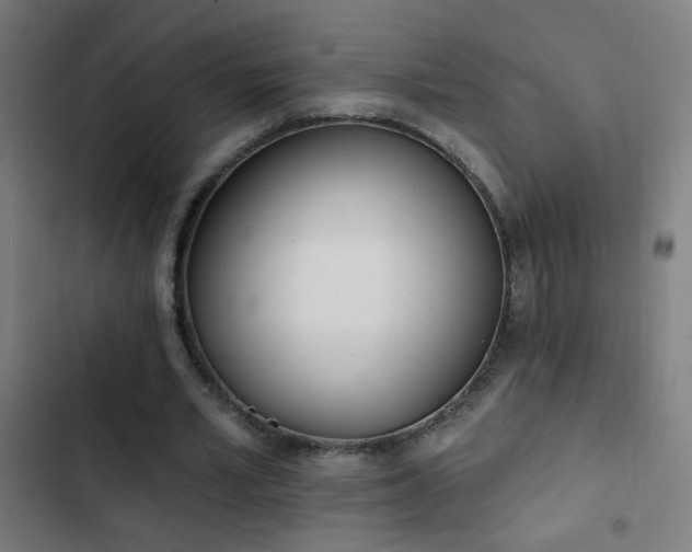 X0000103400581200809121244