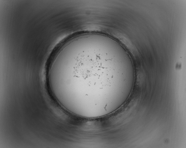 X0000103400584200809121244