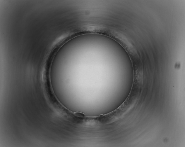 X0000103400587200809121244