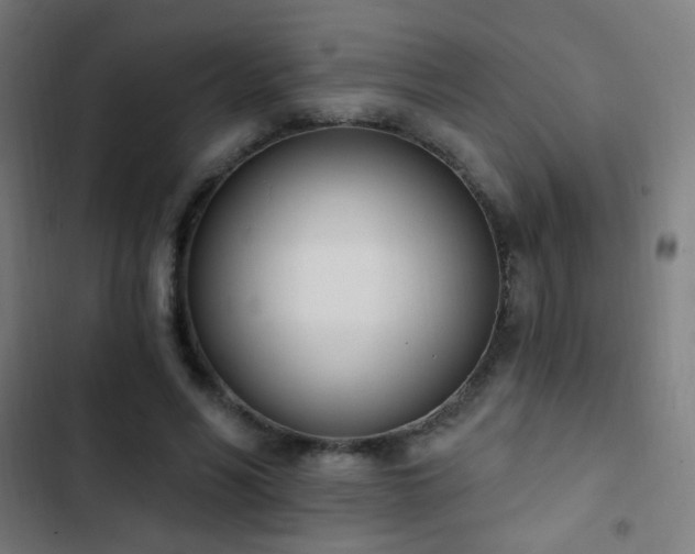 X0000103400590200809121244