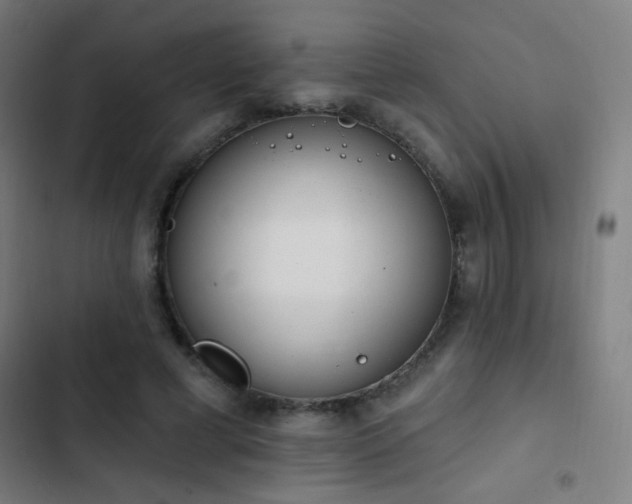 X0000103400593200809121244