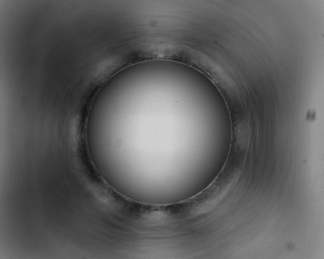 X0000103400594200809121244