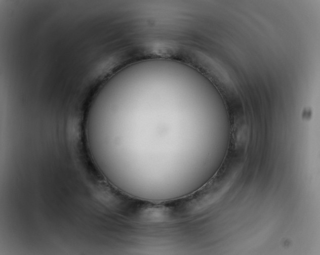 X0000103400595200809121244