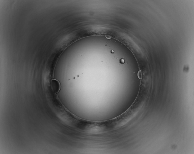 X0000103400597200809121244