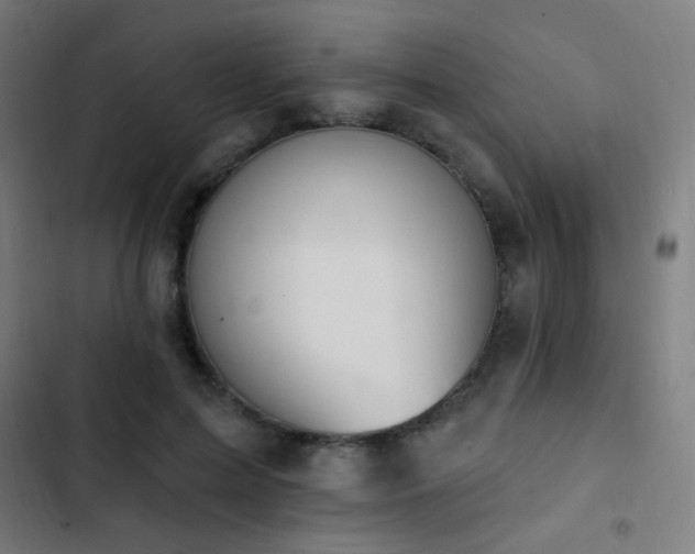 X0000103400599200809121244