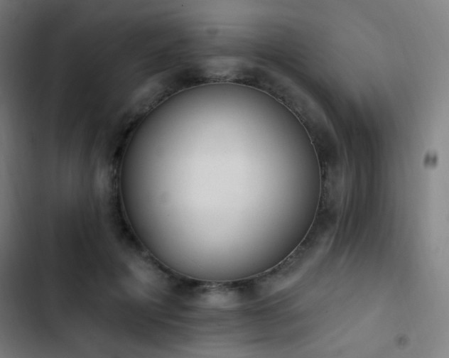 X0000103400601200809121243