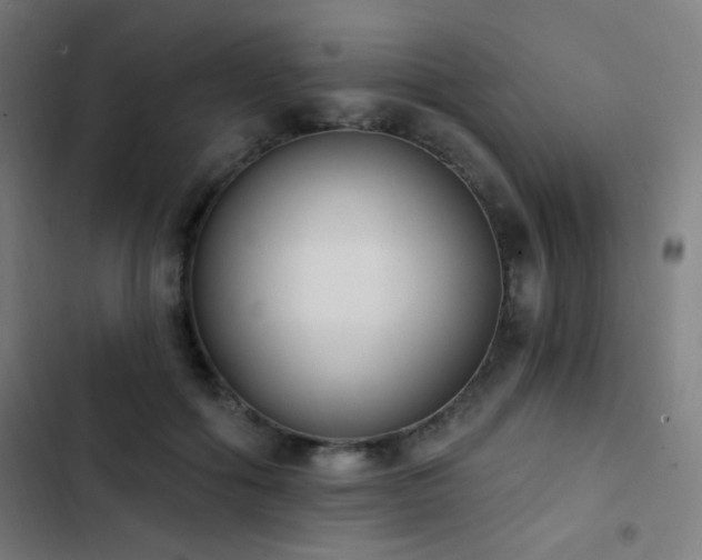 X0000103400602200809121243