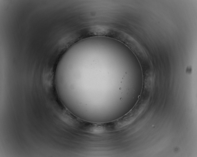 X0000103400604200809121243