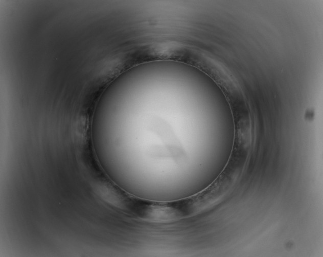 X0000103400605200809121243