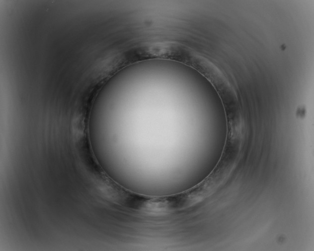 X0000103400606200809121243