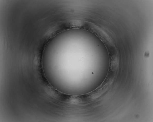 X0000103400608200809121243