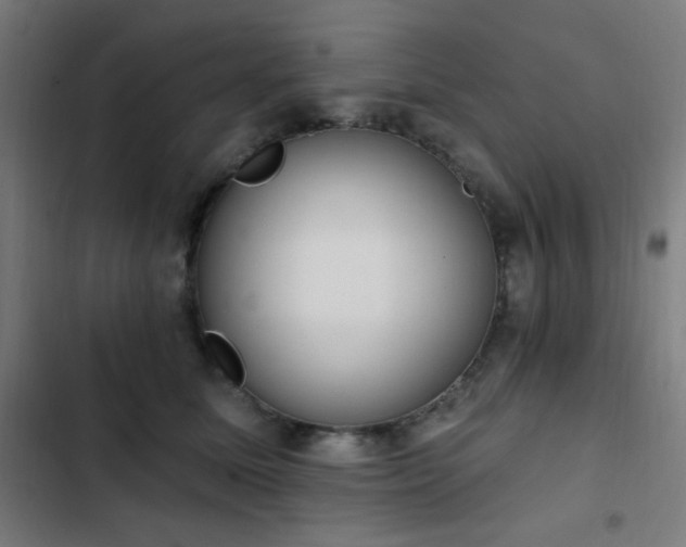 X0000103400611200809121243