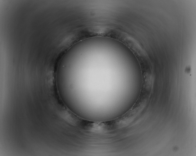 X0000103400612200809121243