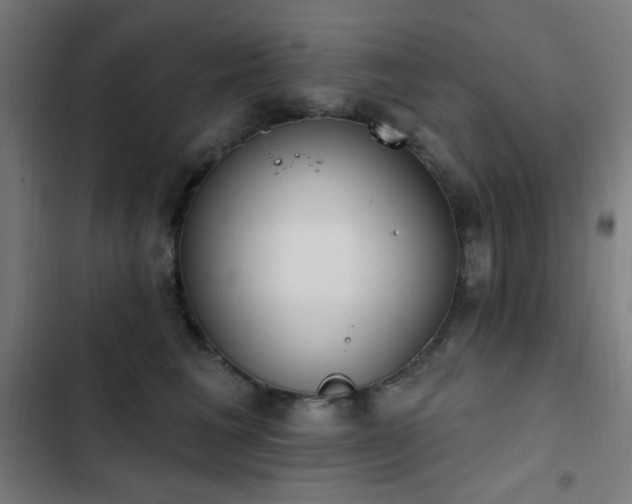 X0000103400613200809121243