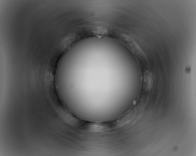 X0000103400614200809121243