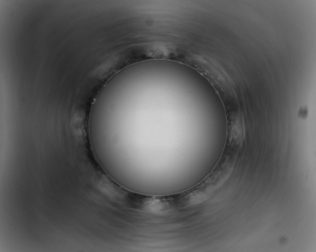 X0000103400616200809121243