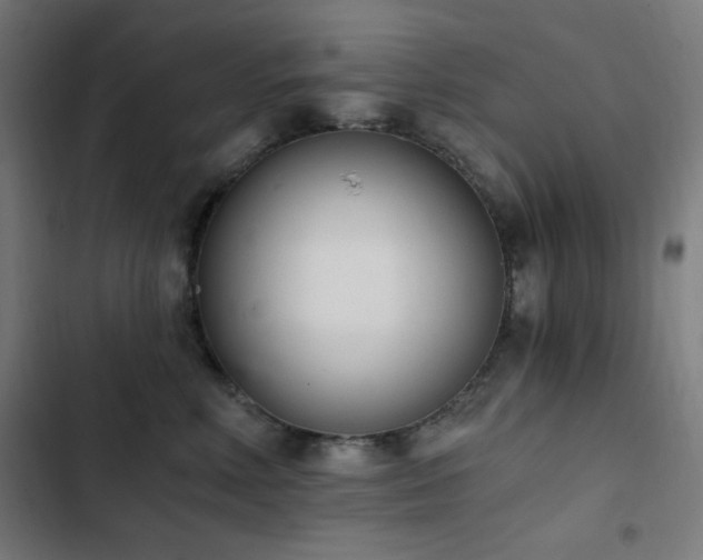 X0000103400618200809121243