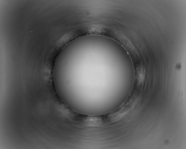 X0000103400619200809121243