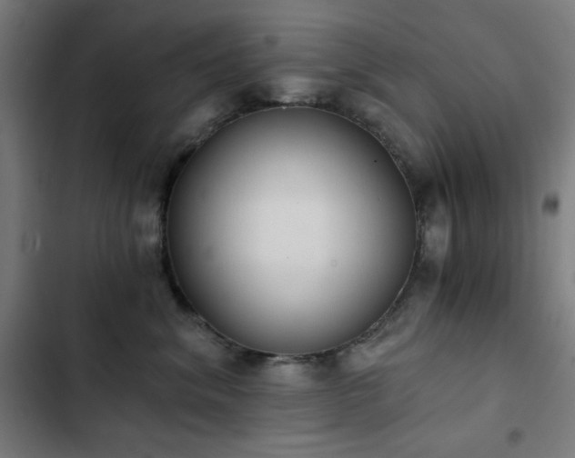 X0000103400620200809121243