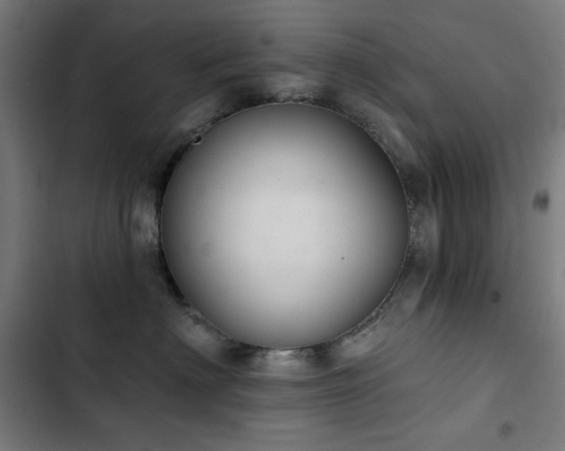 X0000103400622200809121243