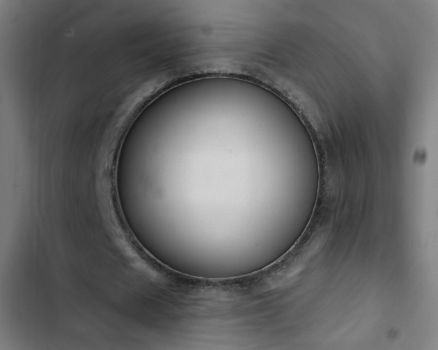 X0000103400625200809121243