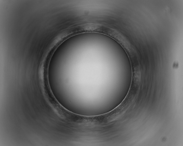 X0000103400626200809121243