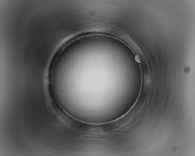 X0000103400628200809121243