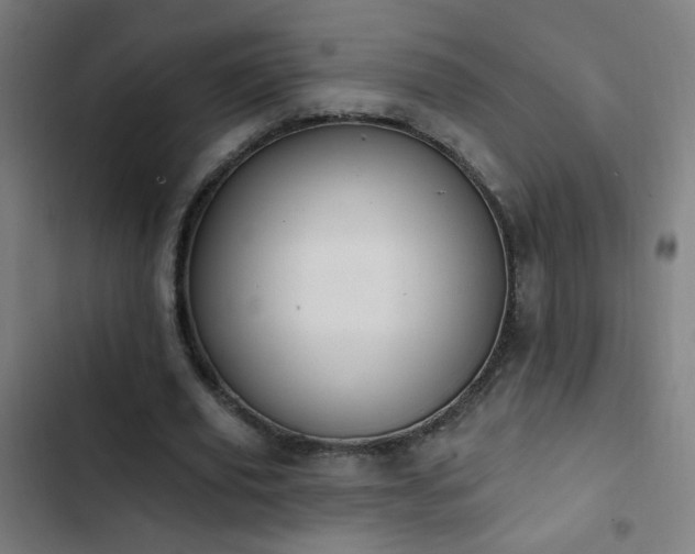 X0000103400629200809121243