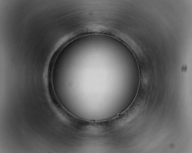 X0000103400630200809121243