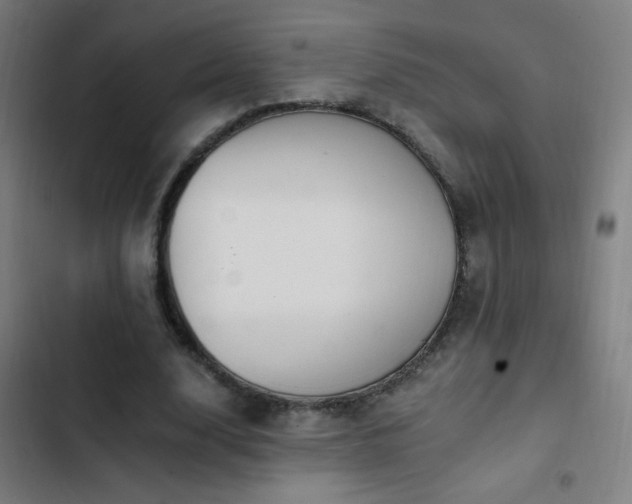 X0000103400632200809121243