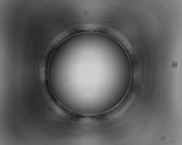 X0000103400633200809121243