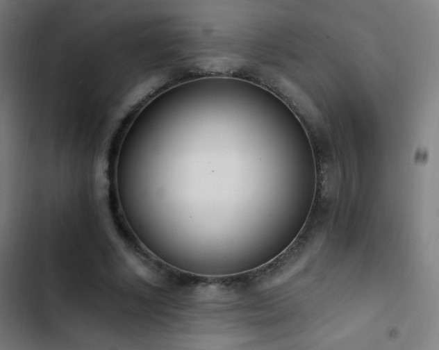 X0000103400634200809121243