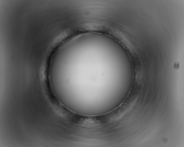 X0000103400635200809121243