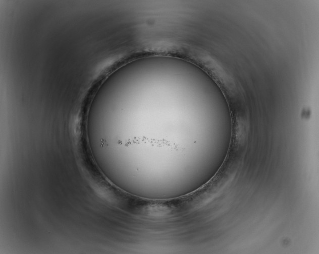 X0000103400636200809121243