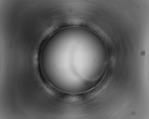 X0000103400638200809121243