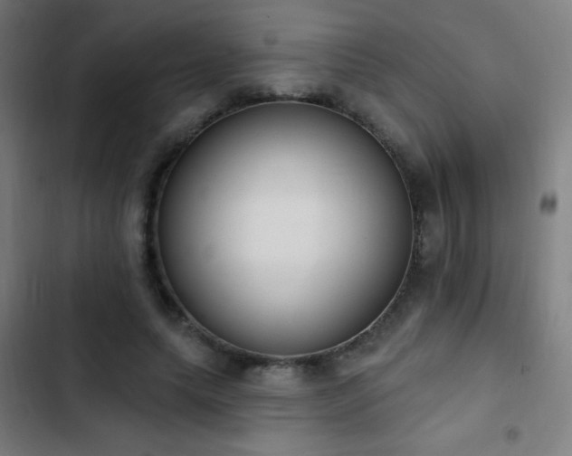 X0000103400639200809121243