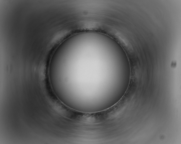 X0000103400640200809121243